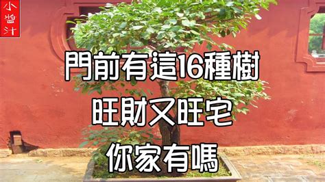 門前植物風水|門前植物旺宅秘訣